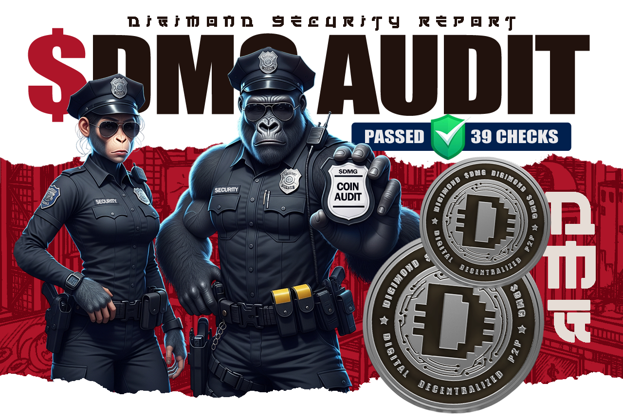 DMG audit